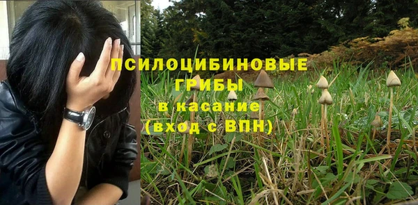 гидра Саяногорск